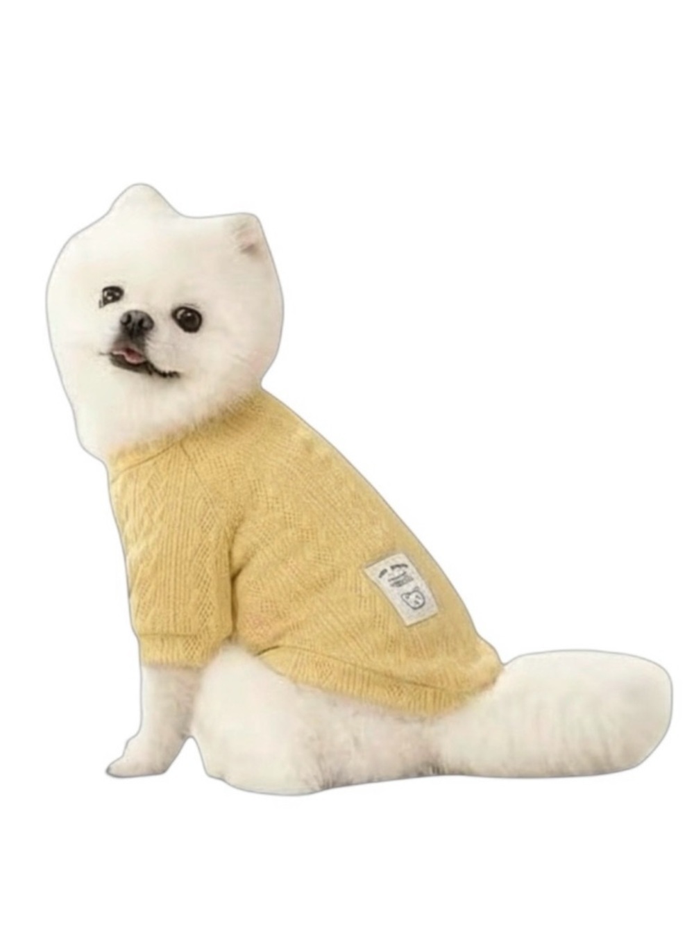 COMFY KNIT PULLOVER PET SWEATER WITH TED TEXTURE IN YELLOW - BRAND NEW